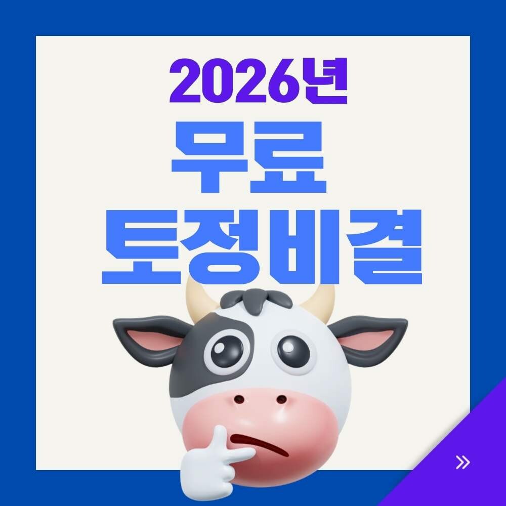 2026년 무료 토정비결 보기 사이트 추천