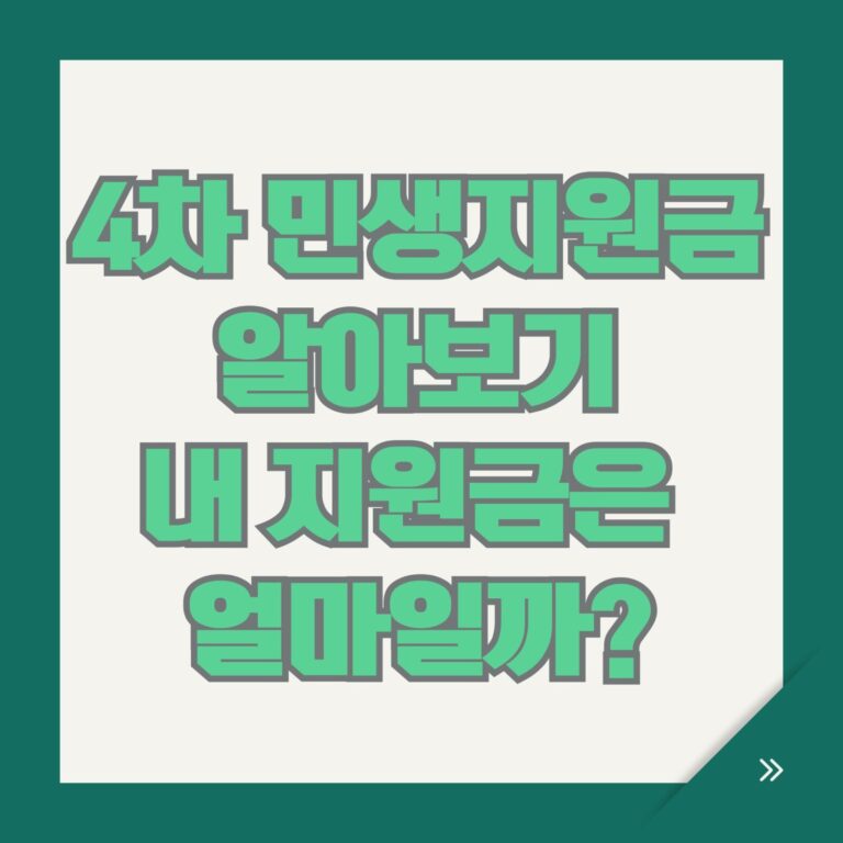 4차 민생지원금